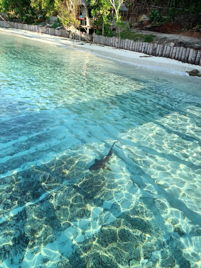Kri Warahnus Dive Homestay מראה חיצוני תמונה